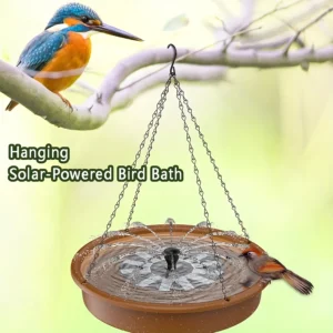 Solar Powered Water Pump Fountain