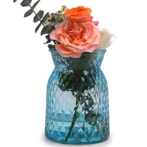 Glass Vase, 6.2 * 3.5in Design Flower Vase