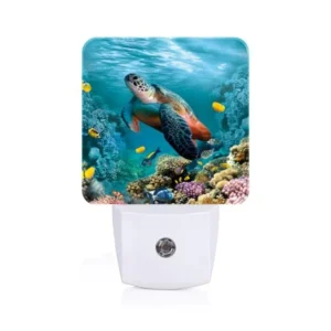 Night Light with Light Sensors