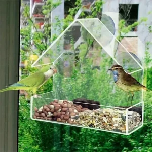 Acrylic Bird Feeder Clear Window with Suction Cup